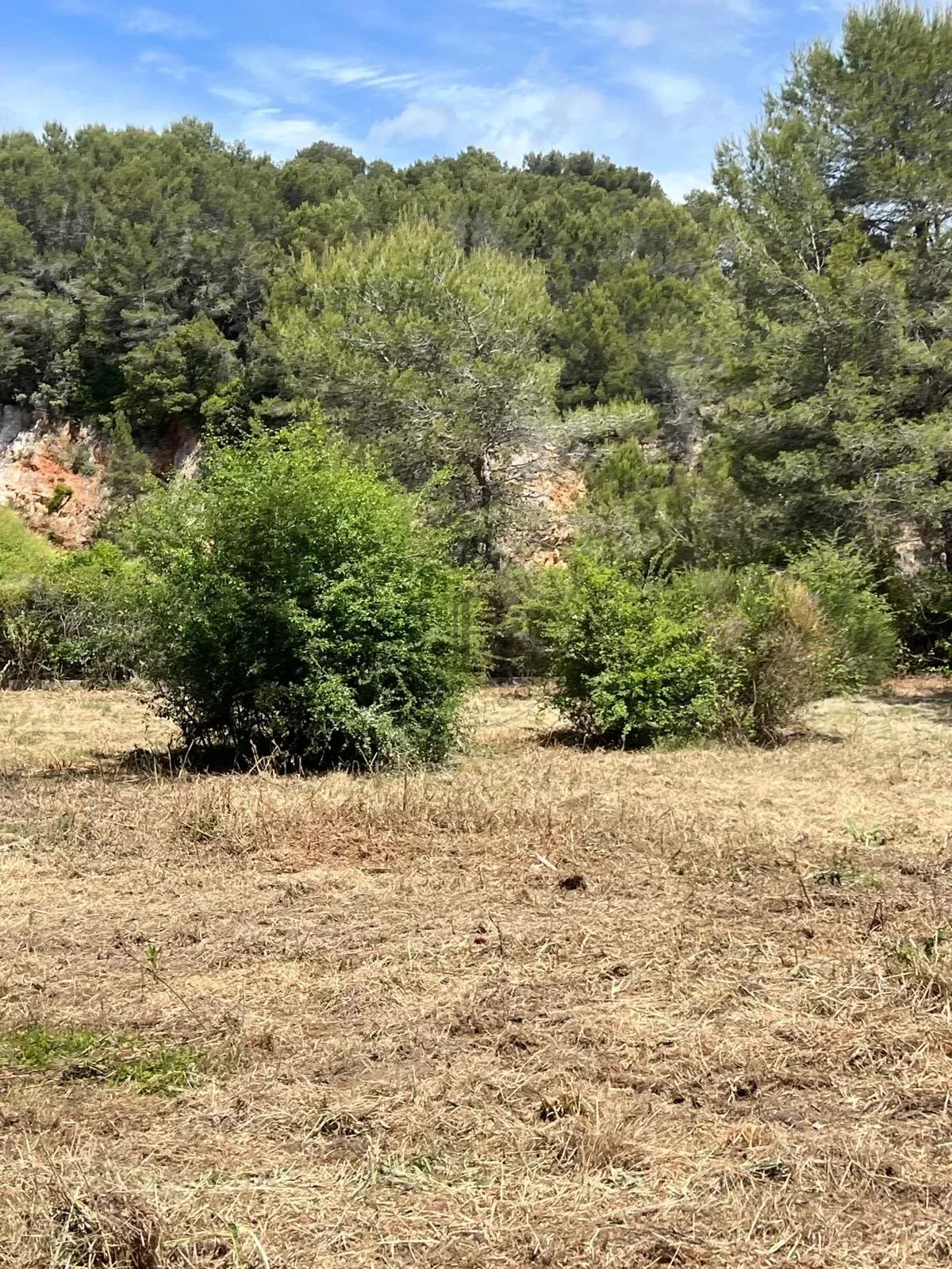 MOUGINS - AU CALME - TERRAIN CONSTRUCTIBLE AVEC PERMIS POUR 2 VILLAS