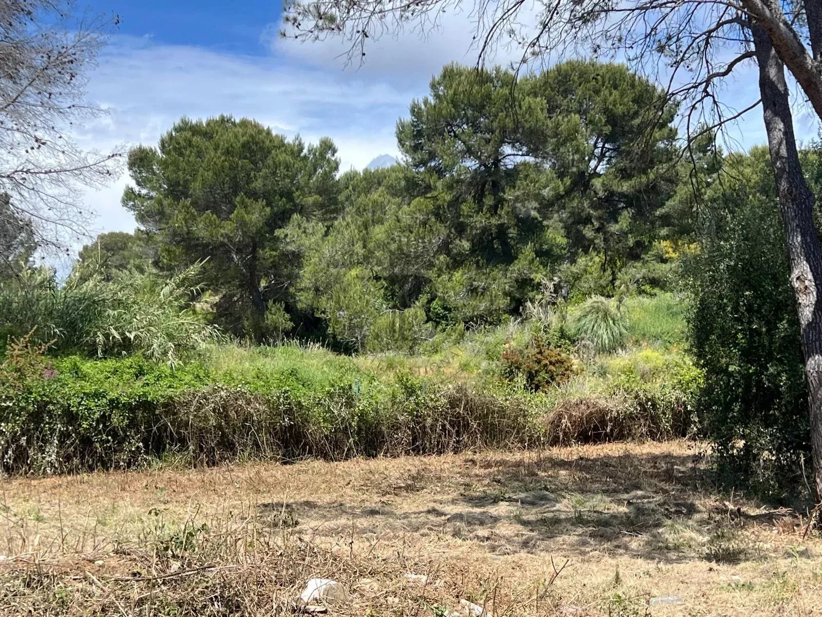 MOUGINS - AU CALME - TERRAIN CONSTRUCTIBLE AVEC PERMIS POUR 2 VILLAS