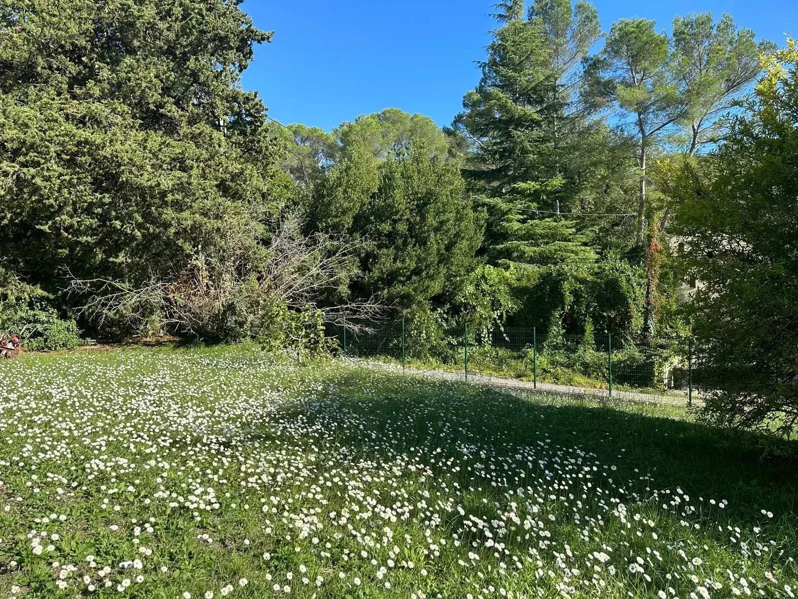 MOUGINS - TERRAIN CONSTRUCTIBLE - CALME ET VUE DÉGAGÉE