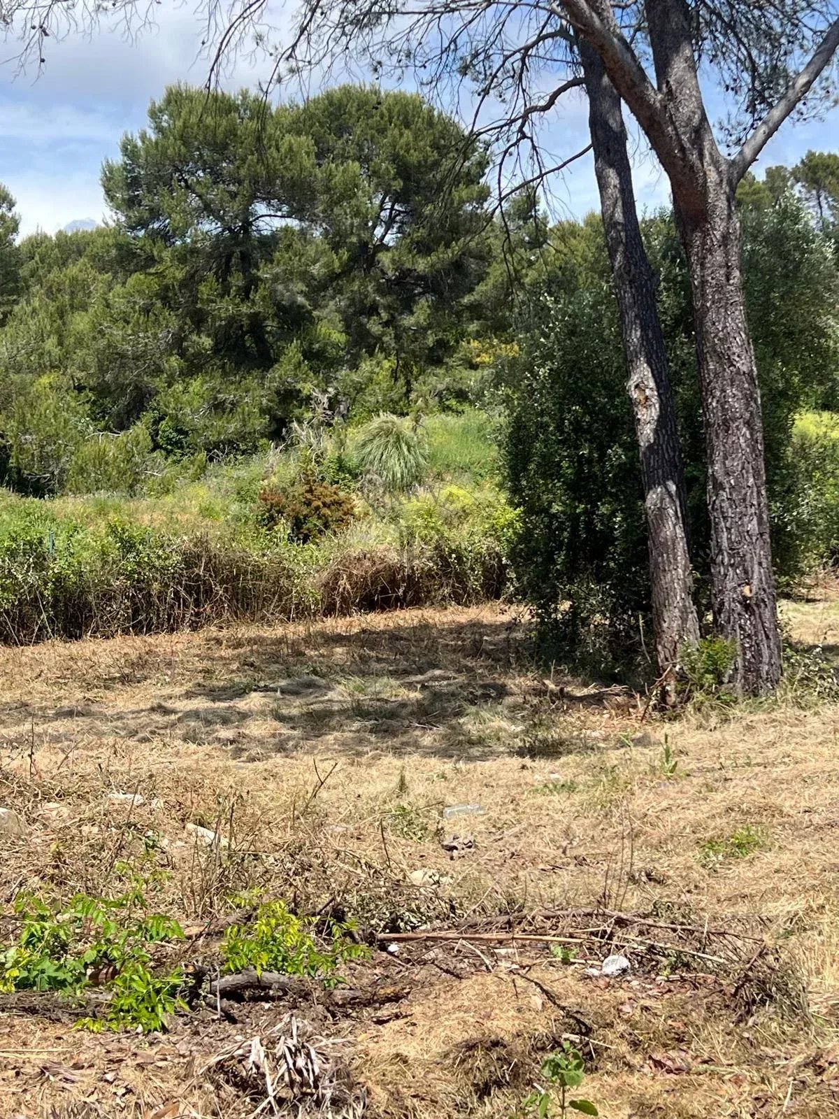 MOUGINS - AU CALME - TERRAIN CONSTRUCTIBLE AVEC PERMIS POUR 2 VILLAS
