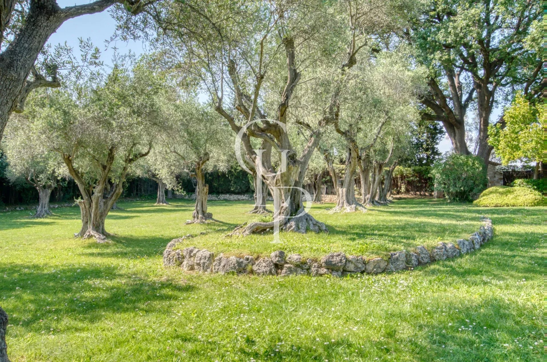 DOMAINE DE MOUGINS