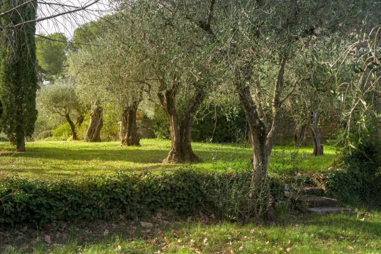 MOUGINS - DOMAINE AVEC BASTIDES PROVENÇALES - VUE VILLAGE ET MER