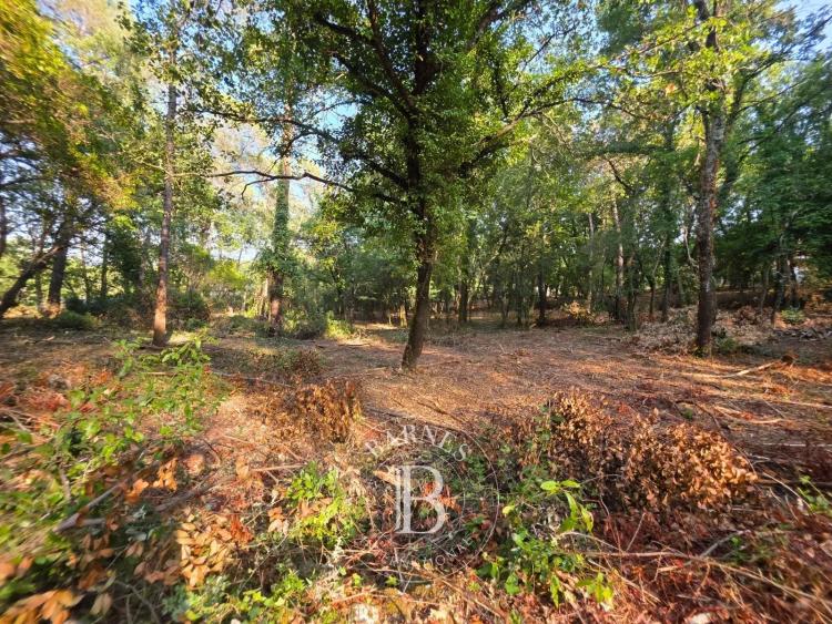Terrain Constructible - Opio