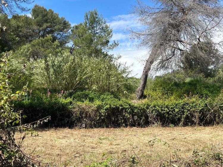 MOUGINS - AU CALME - TERRAIN CONSTRUCTIBLE AVEC PERMIS POUR 2 VILLAS