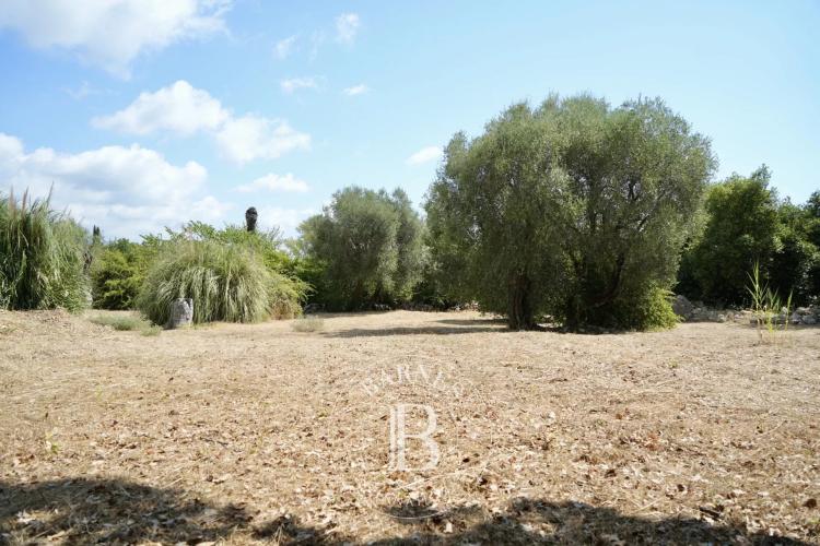 Roquefort les Pins - Terrain Calme Plat