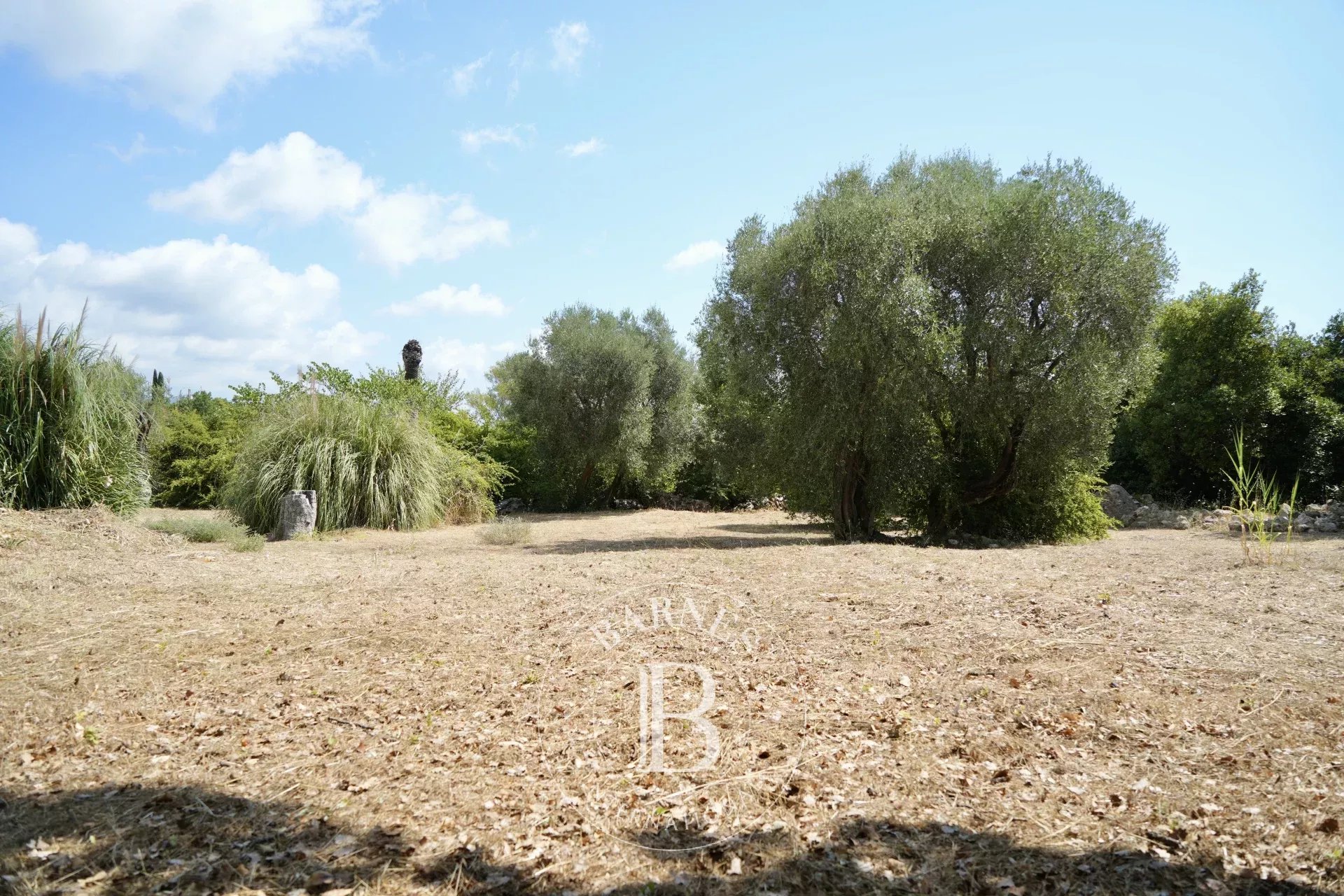 Roquefort les Pins - Terrain Calme Plat