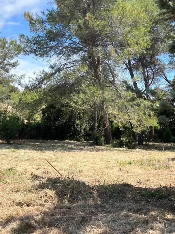 MOUGINS - AU CALME - TERRAIN CONSTRUCTIBLE AVEC PERMIS POUR 2 VILLAS