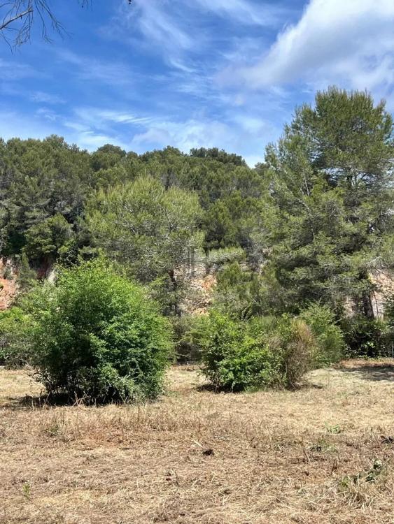 MOUGINS - AU CALME - TERRAIN CONSTRUCTIBLE AVEC PERMIS POUR 2 VILLAS